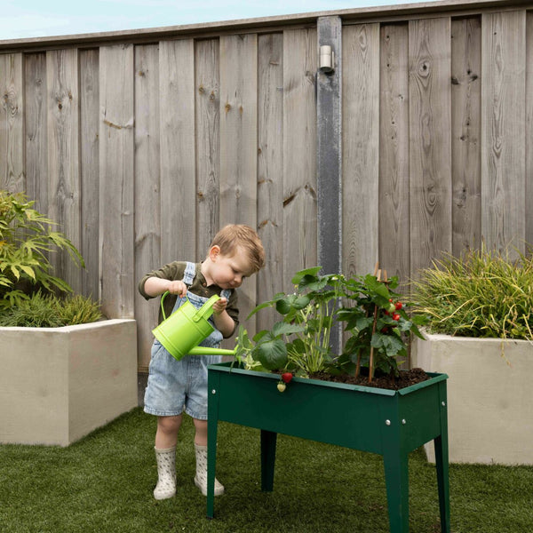 Esschert Design Verhoogde Kweekbak Metaal Groen S – Compacte moestuinbak 62×29×45 cm (20 L)