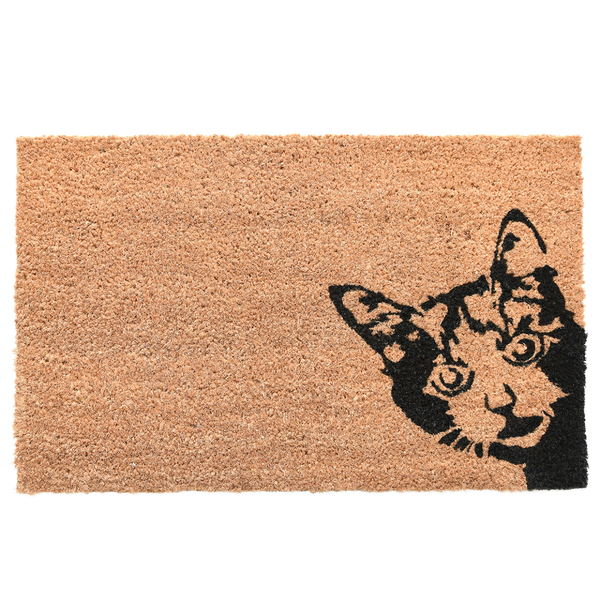 Fußmatte Kokosnuss Peekaboo! Katze