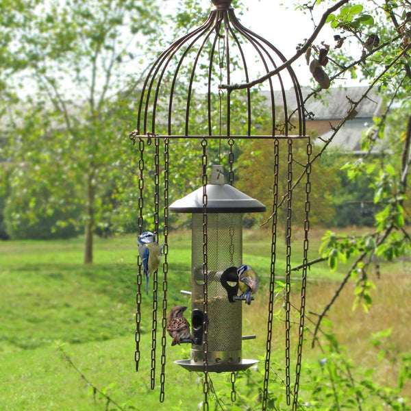 Feeder Defender – Ein Vogelfutterhaus-Schutz