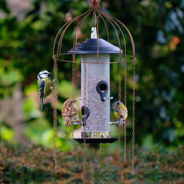 Feeder Defender – Ein Vogelfutterhaus-Schutz