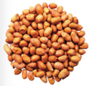 Bird Protection - Premium Peanuts