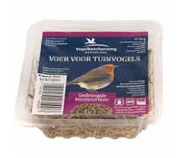 Vogelschutz - Getrocknete Mehlwürmer