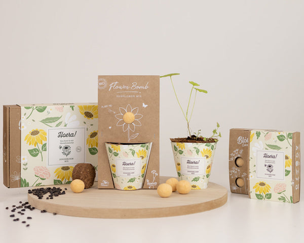 Grow Kit "Hoera!" met Zonnebloem Mix Zaadbommetje