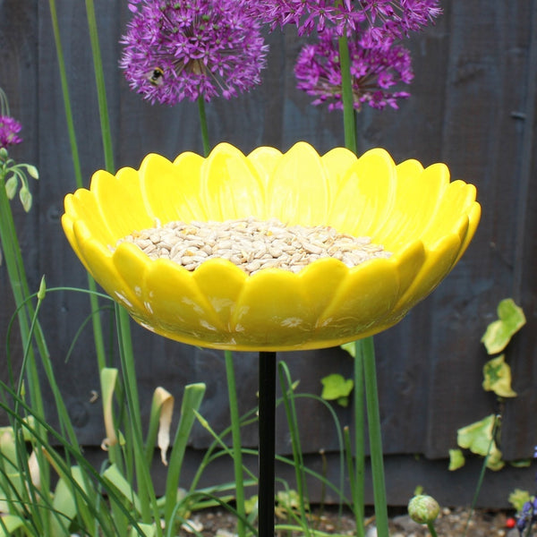 Zonnebloem Vogelvoeder