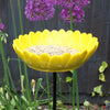 Zonnebloem Vogelvoeder