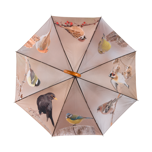Winter birds umbrella