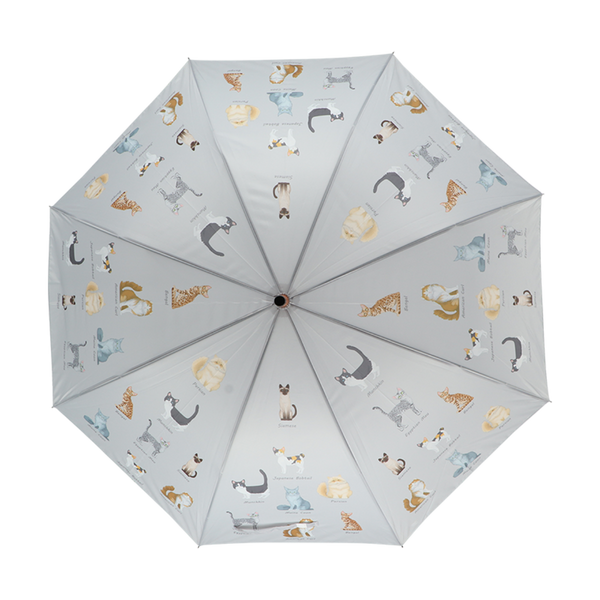 Paraplu kattenrassen