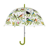 Umbrella transparent bird club