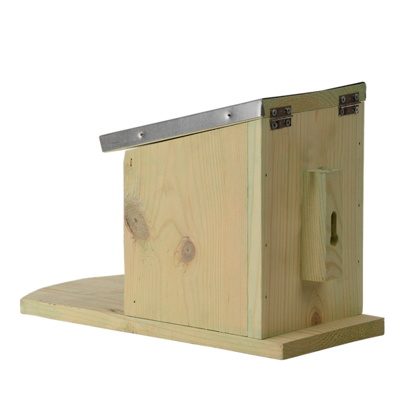 Squirrel feeding house