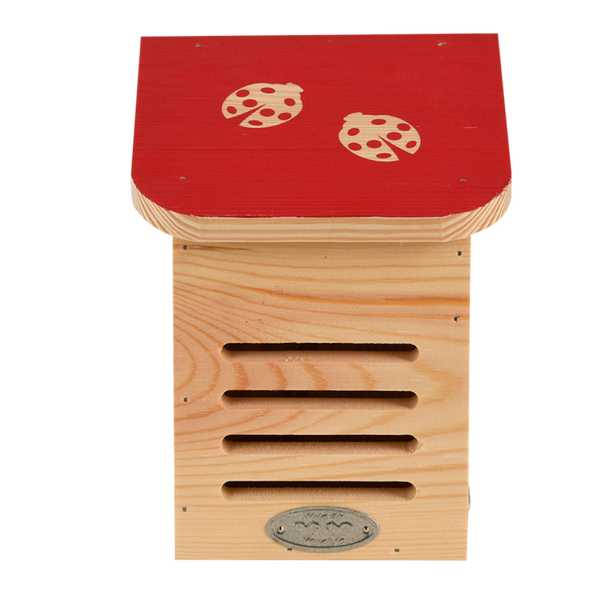 Diapositief lieveheersbeestjeshuis