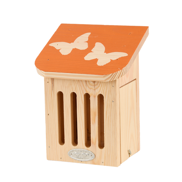 Schiebe-Schmetterlingsbox