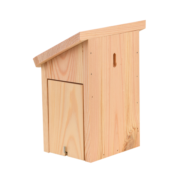 Diapositief vlinderkast