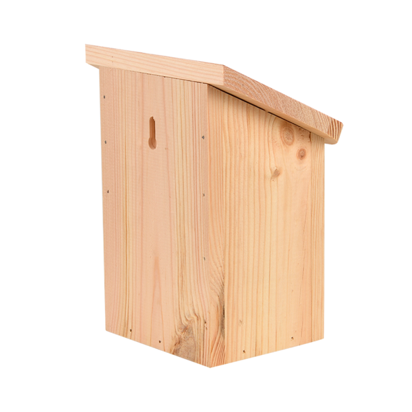 Schiebe-Schmetterlingsbox