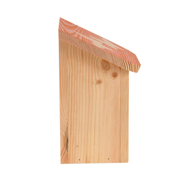 Diapositief vlinderkast