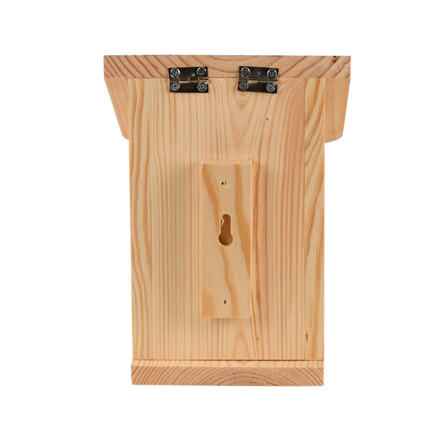 Diapositief eekhoorn voederhuis