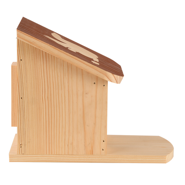 Diapositief eekhoorn voederhuis