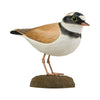 DecoBird - Little Ringed Plover