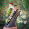 Houten Vogelbeeldje Groene Specht - Handgesneden op Ware Grootte | DecoBird