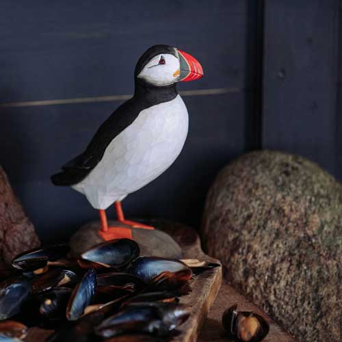 DecoBird -Papegaaiduiker