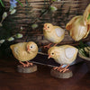 DecoBird -Nieuwsgierig kuiken
