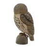DecoBird - Little Owl