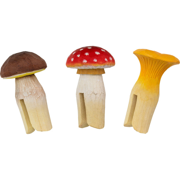 Bospaddenstoelen (vliegenzwam, cantharel, aronskelk)