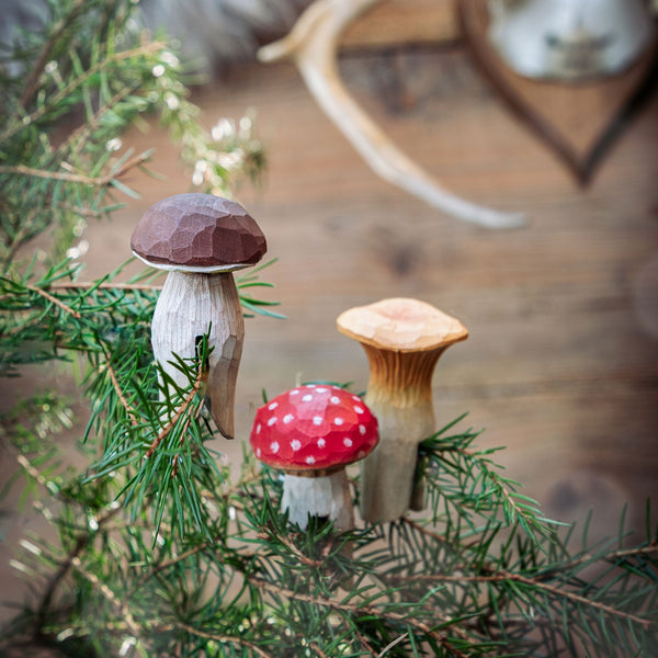 Bospaddenstoelen (vliegenzwam, cantharel, aronskelk)
