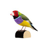 DecoBird - Gould's Finch