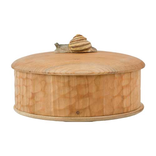 Holzkistenschnecke