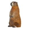 DecoBird - Marmot