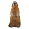 DecoBird - Marmot
