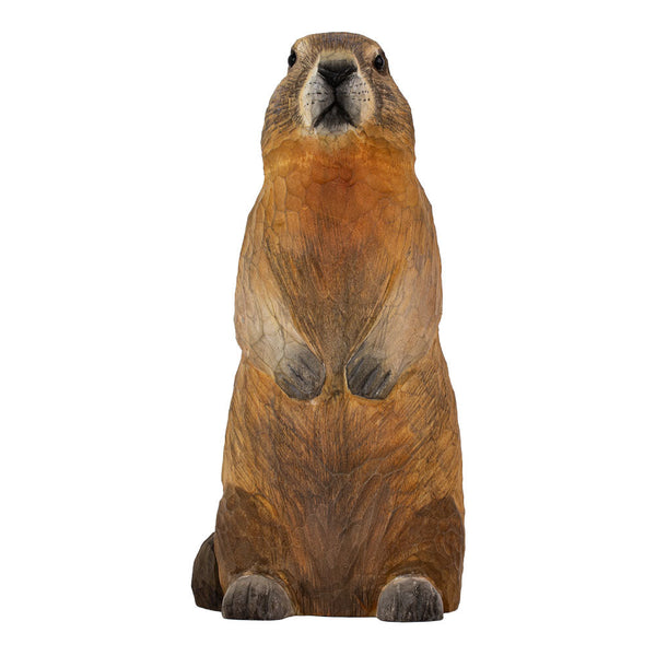DecoBird - Marmot
