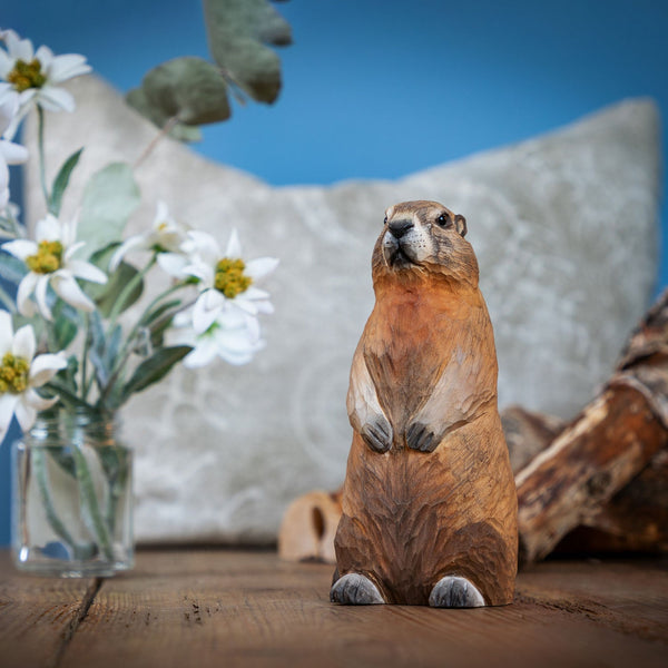 DecoBird - Marmot