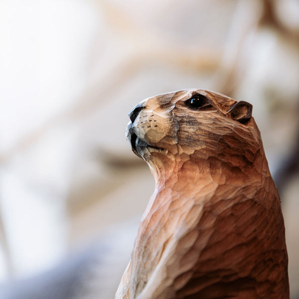 DecoBird - Marmot