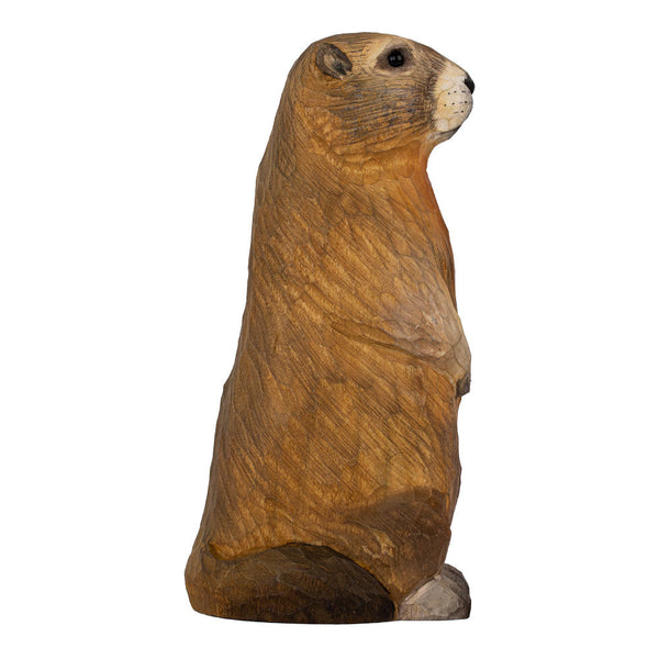 DecoBird - Marmot