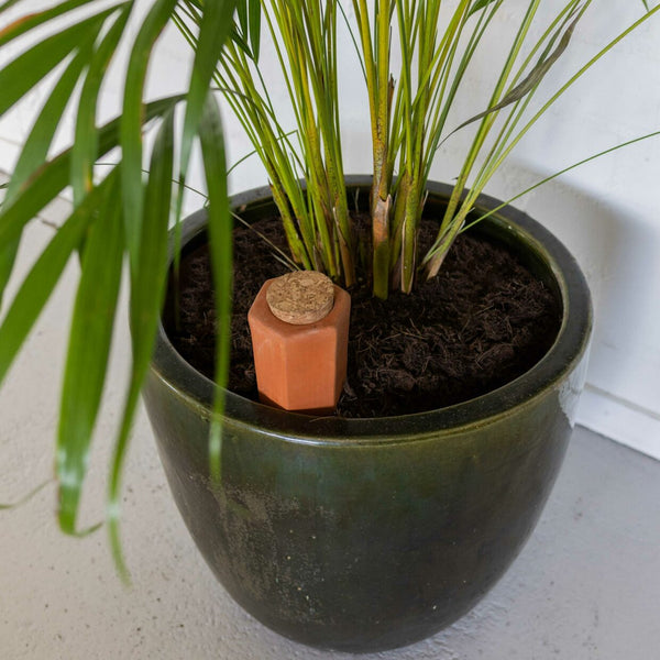 Esschert Design Bewateringstuit L – Terracotta irrigatie tuit 7,1 × 6,4 × 32 cm (0,575 L)