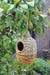 Birdhouse Shesali