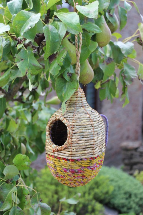Birdhouse Shesali