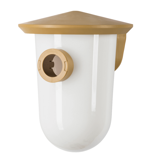 SingingFriend - Rasse R braun