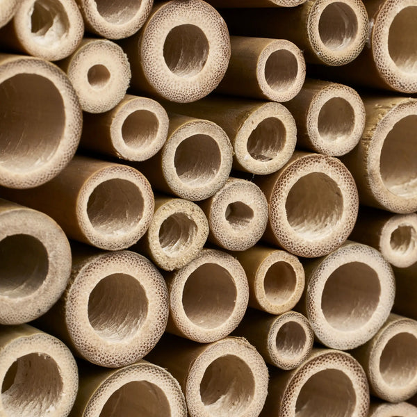 Organic bijenhotel kastanje bruin – insectenhotel voor solitaire bijen | Duurzaam gerecycled kunststof & weerbestendig