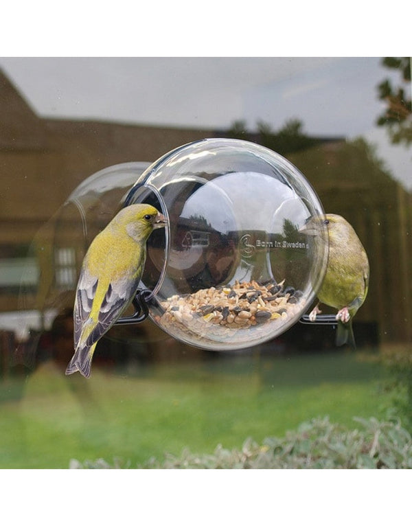 BirdFeeder Raamvoederhuisje – Transparant Vogelvoerhuisje voor op het Raam (15 x 10 x 15 cm)