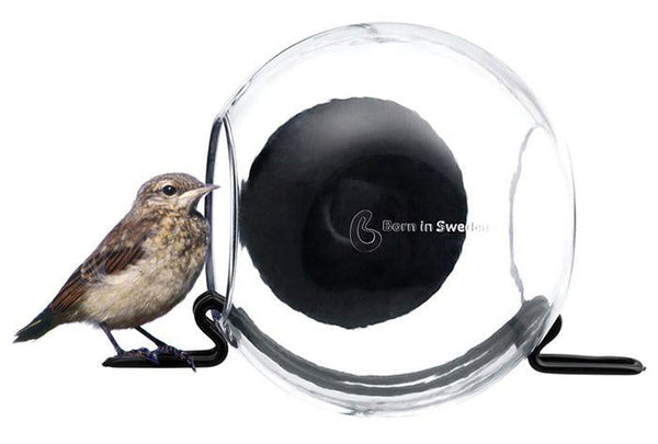 BirdFeeder Raamvoederhuisje – Transparant Vogelvoerhuisje voor op het Raam (15 x 10 x 15 cm)