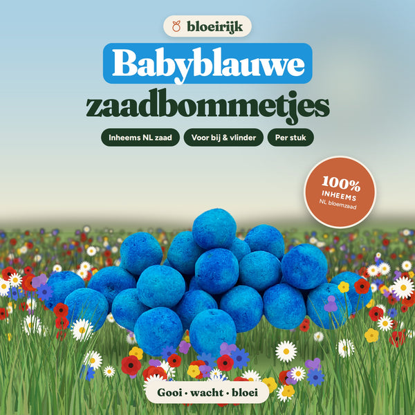 Babyblauwe zaadbommetjes van bloeirijk in een bloemenweide
