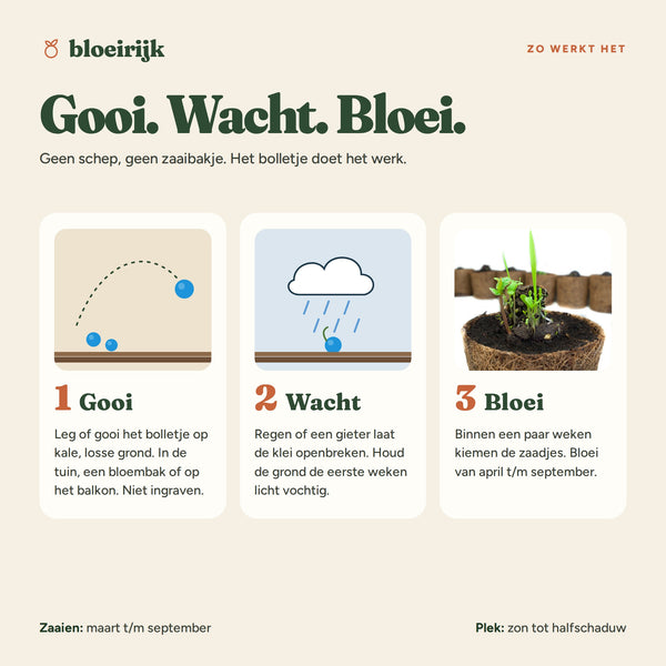 Zo werkt een zaadbom: gooi, wacht, bloei