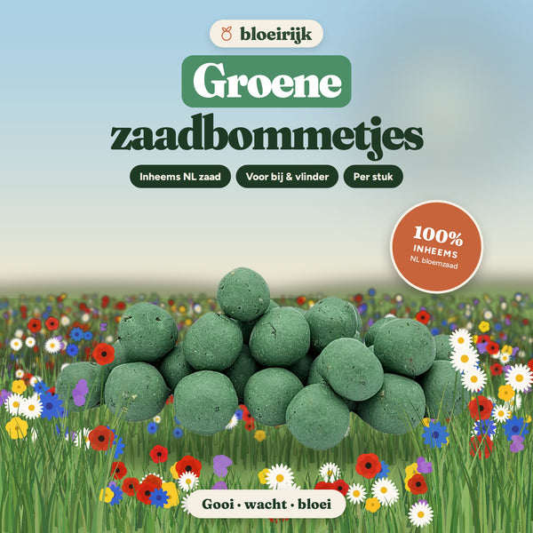 Groene zaadbommetjes van bloeirijk in een bloemenweide