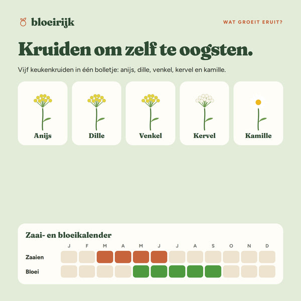Wat groeit er uit zaadbommen kruidenmix, met zaai- en bloeikalender