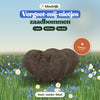 Zaadbommen Vergeet-mij-nietjes van bloeirijk in een bloemenweide