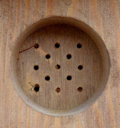 Esschert Design - Nesting box great spotted woodpecker 54cm
