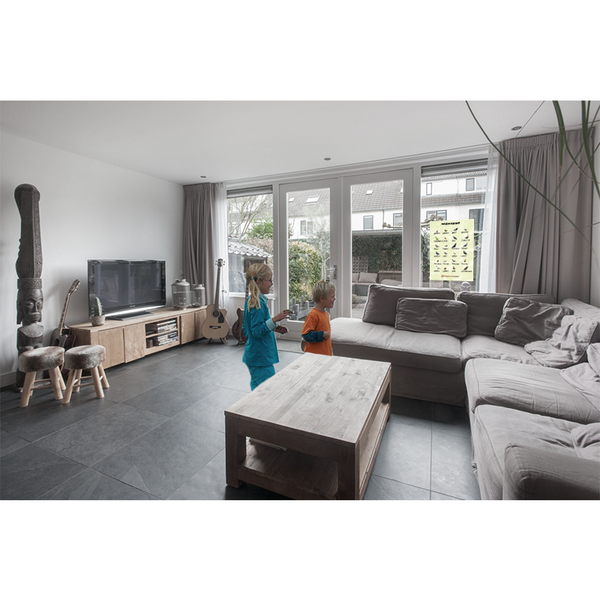 Bird Cross-Out Poster