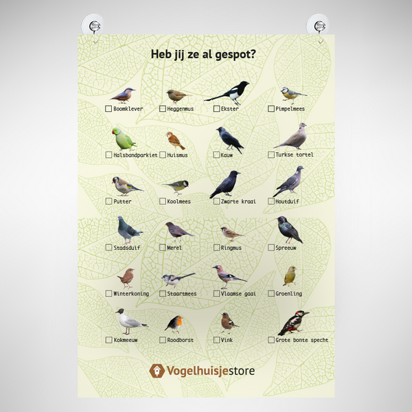 Vogel Afstreep-Poster A3 – Vogels Spotten voor het Raam | Inevo